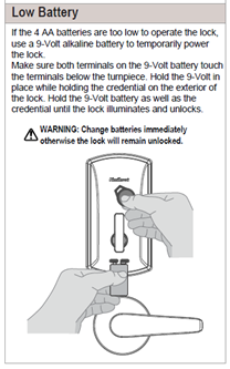 Picture11